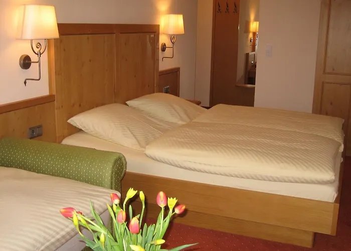 酒店 林登霍夫酒店 梅舍德