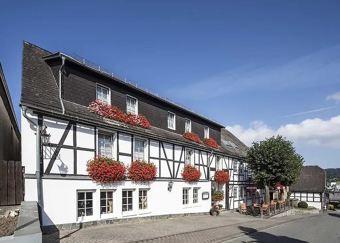 林登霍夫酒店 酒店 3*